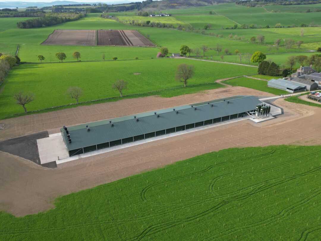 Poultry Construction